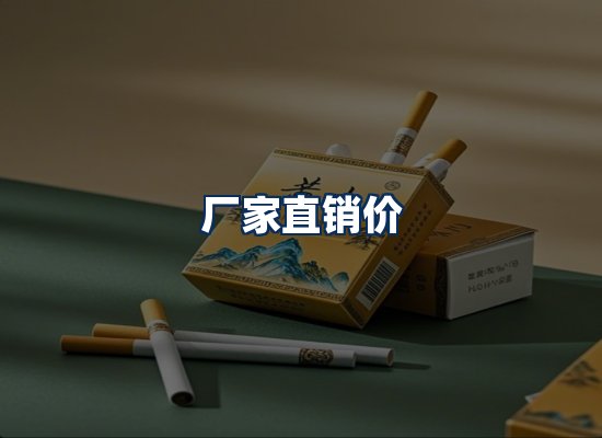 专业团队办公环境
